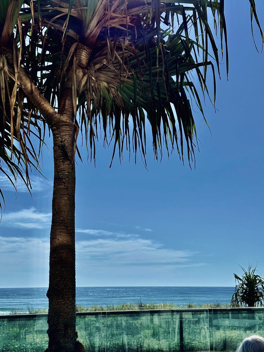 A Week in Queensland
