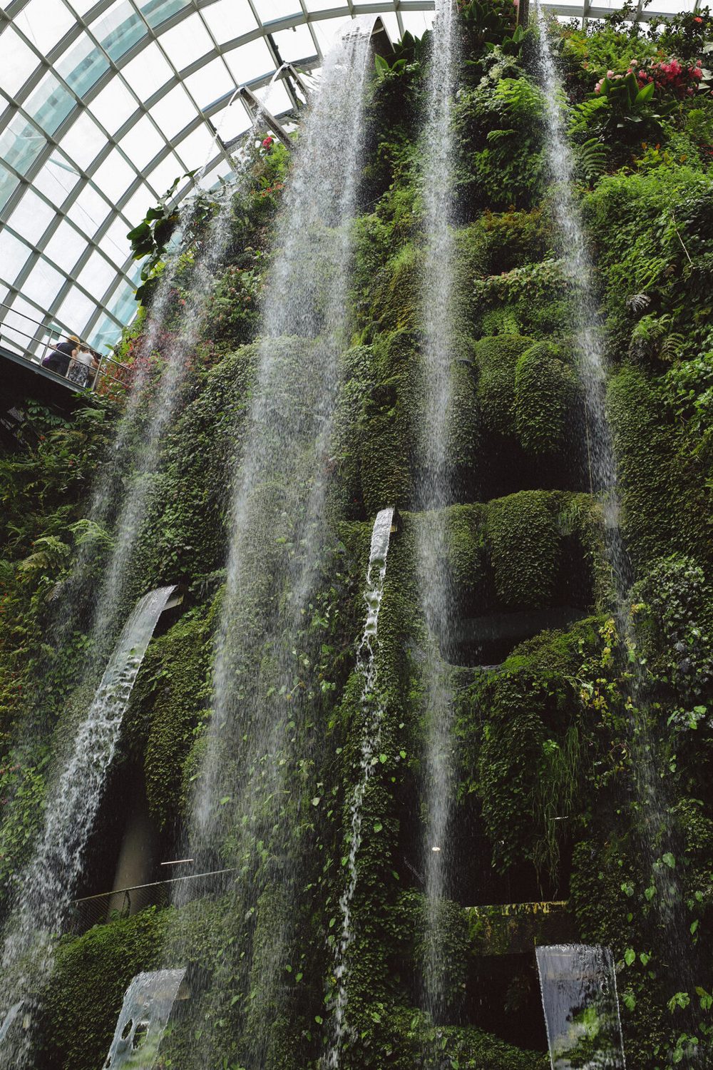 A Week in Singapore